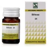 Dr. Willmar Schwabe India Silicea