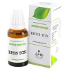 Similia Rhus Tox