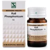 Dr. Willmar Schwabe India Kali Phosphoricum