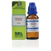SBL Bismuthum Oxydatum