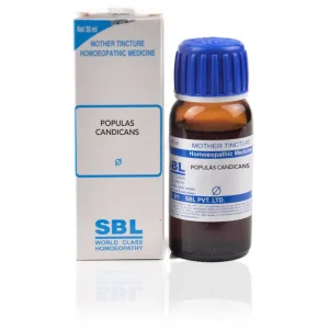 SBL Populus Candicans