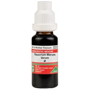 ADEL Teucrium Marum Verum