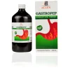 Allen Gastropep Digestive Sugar Free