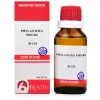 BJain Phylanthus Nirurs
