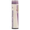 Boiron Anacardium Orientale Multi Dose