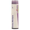 Boiron Arnica Montana Multi Dose