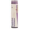 Boiron Eupatorium Perfoliatum Multi Dose