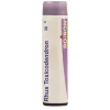 Boiron Rhus Toxicodendron Multi Dose