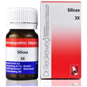 Dr. Reckeweg Silicea