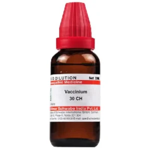 Dr. Willmar Schwabe India Vaccinium