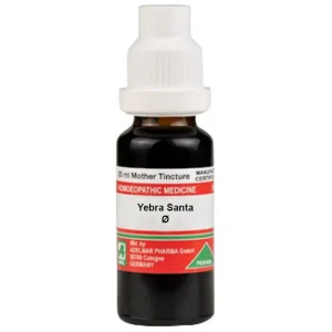 ADEL Yebra Santa