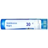 Boiron Sambucus Nigra Single Dose
