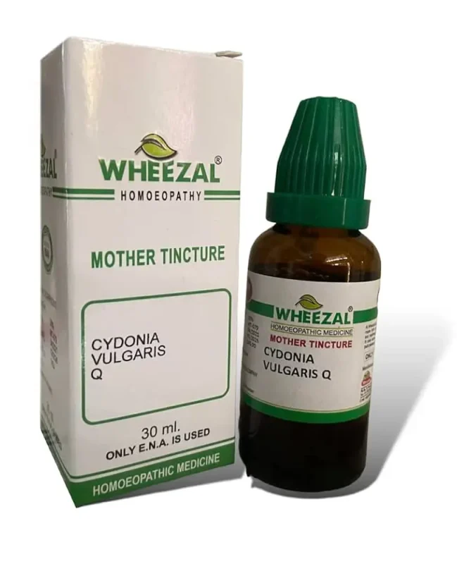 cydonia vulgaris q uses in hindi